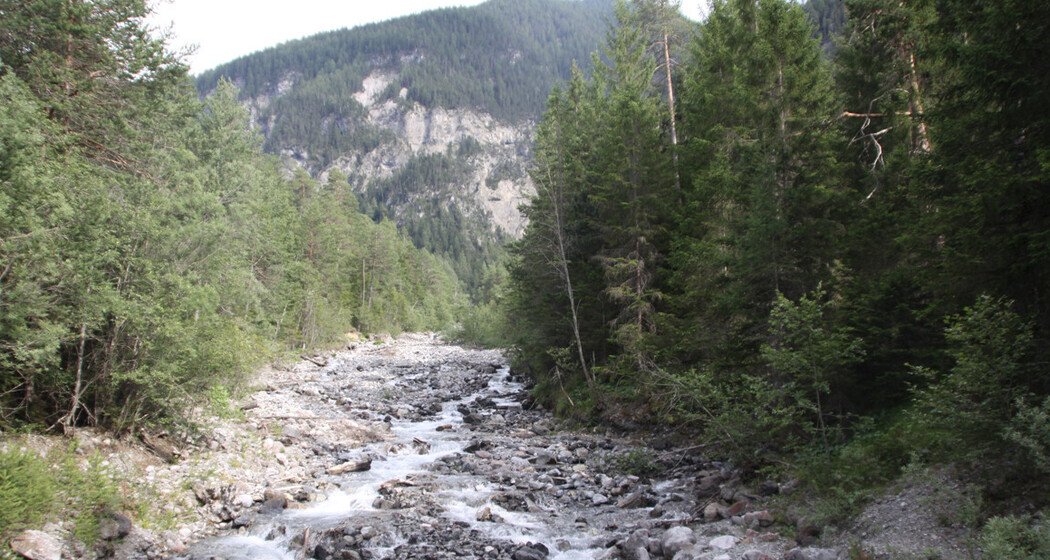 Albula und Schaftobelbach