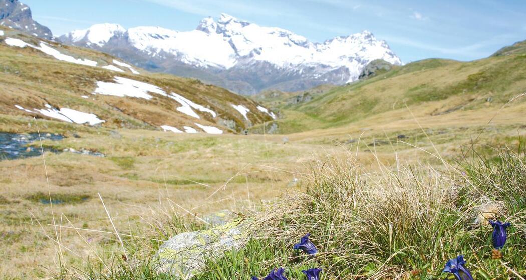 Einstige Übergangszone