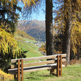 Talwanderweg am Südhang (oua_10809634_image)