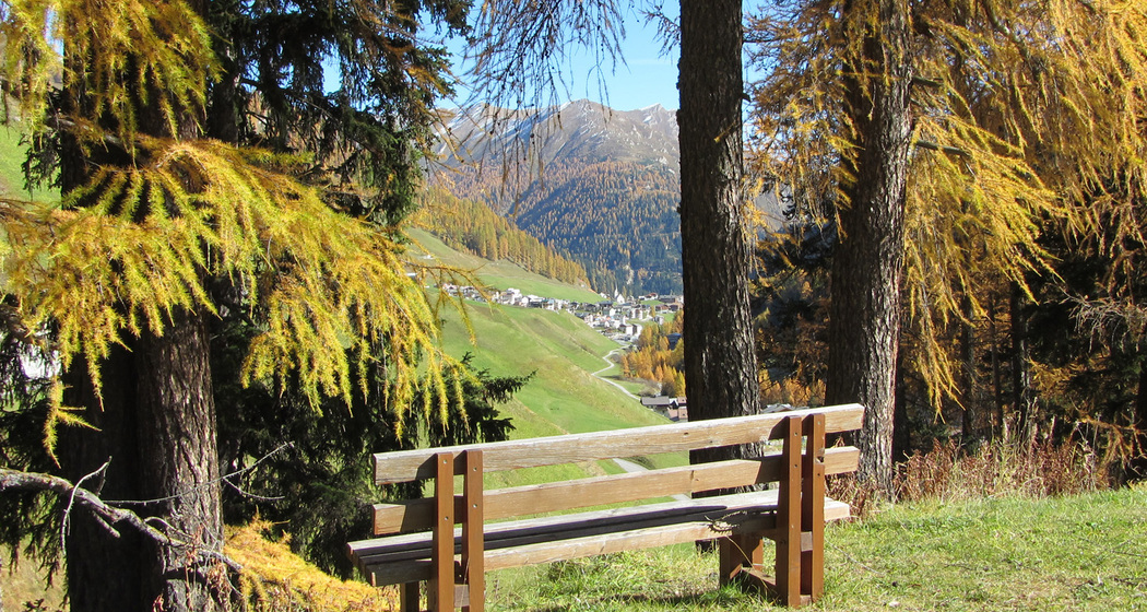 Talwanderweg am Südhang (oua_10809634_image)