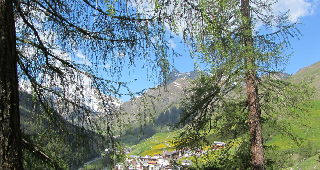 Talwanderweg am Südhang (oua_10809635_image)