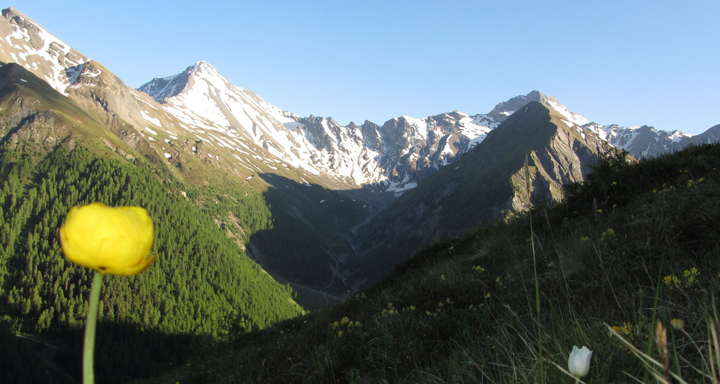 Samnaun Dorf – Mot Grond – Chè d’Mot – Samnaun-Laret (oua_10828105_image)