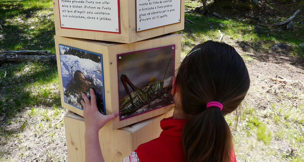 Bärenerlebnisweg – «senda da l’uors» (oua_10866551_image)