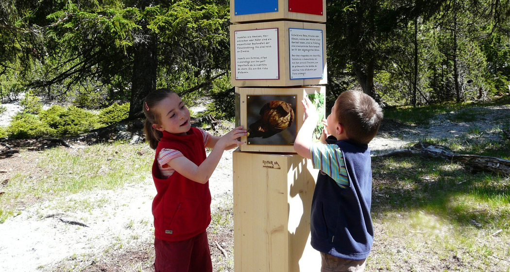 Bärenerlebnisweg – «senda da l’uors» (oua_10866554_image)