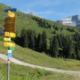 Start in Caischavedra