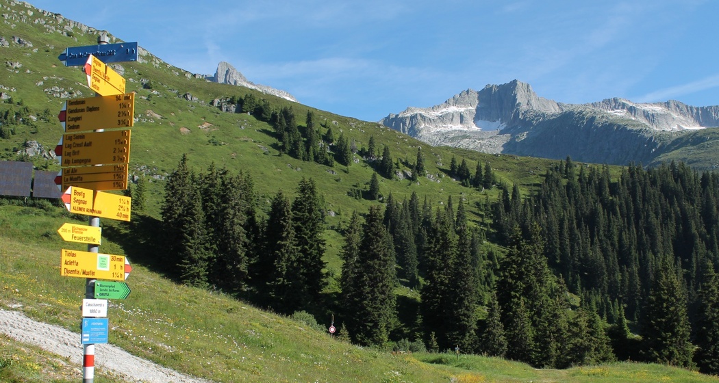 Start in Caischavedra