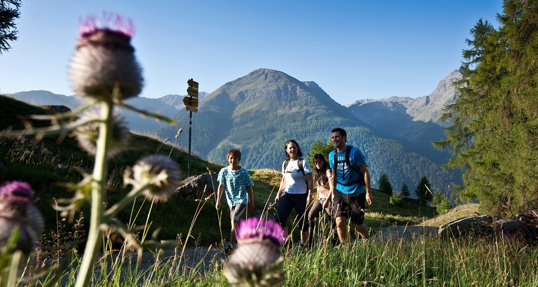 Am Fusse des Piz Buin, Val Tuoi - Furcletta