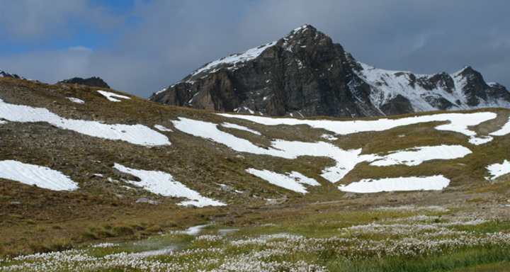 Davo Lais - Mitten in der Heimat der Steinböcke