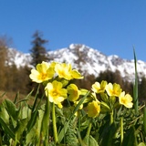 Naturlehrpfad Lantsch/Lenz (oua_11473693_image)