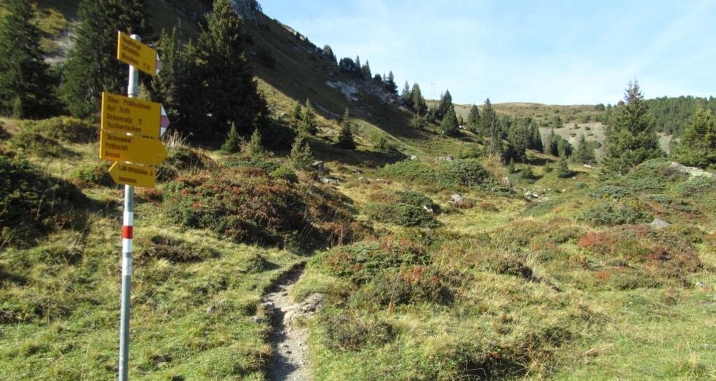 Wanderweg zum Weisshorn