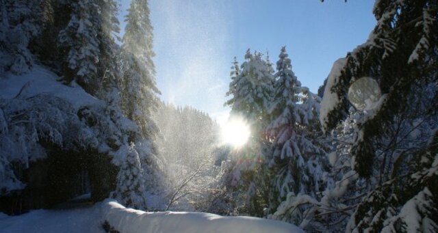 Alter Tunnel entlang der Rotabärg-Schlucht