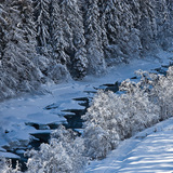 Le long de l'Inn dans l'Engadin inférieur.