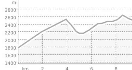 Piz Grevasalvas 2932 m ü.M. (oua_12371805_78c16be_profile)