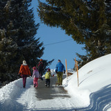 Bis Geisswies geräumte Strasse, dann nur noch Schnee...