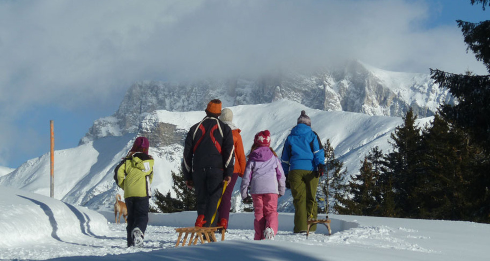 Herrlicher Ausblick auf die Rätikon-Kalkwände
