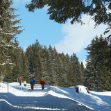 Herrliche Naturlandschaft