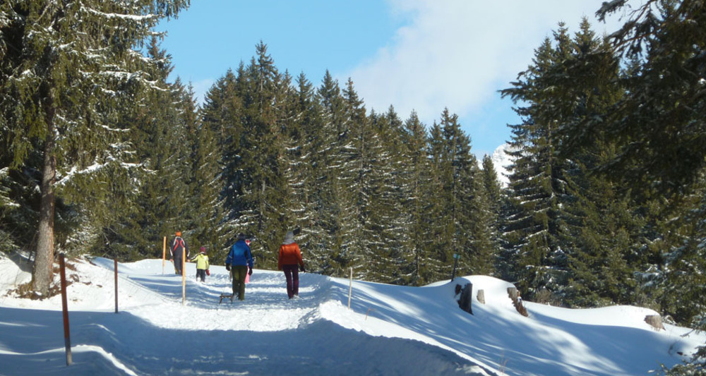 Herrliche Naturlandschaft