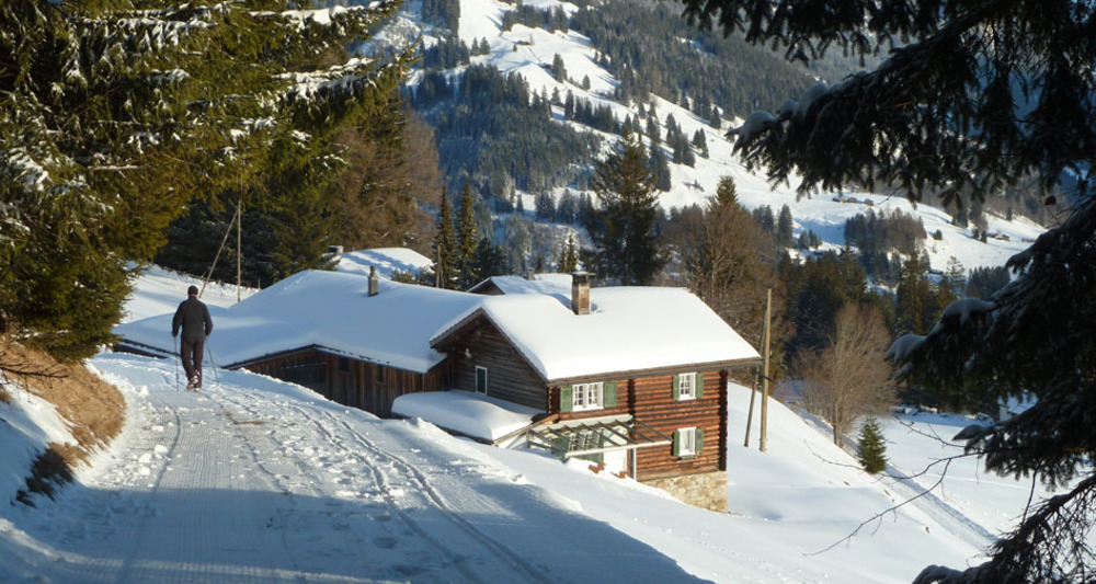 Oberhalb vom Chrühof geht's in den Wald hinein.