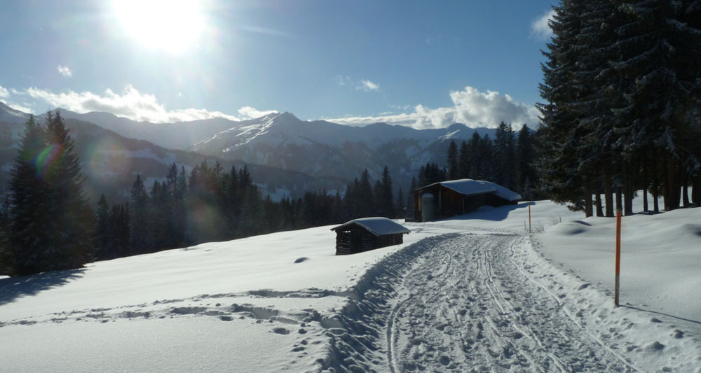 Blick übers Prättigau