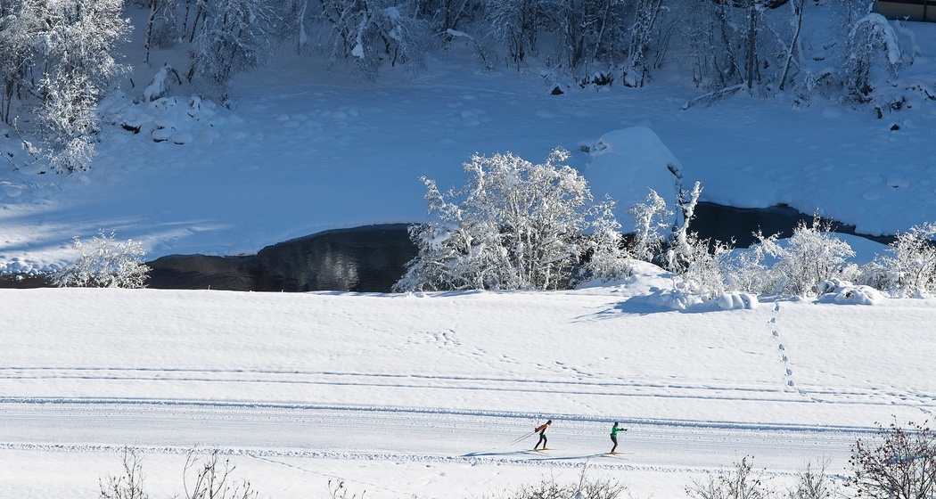 Zernez - Susch (oua_12762650_image)