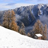 Winterwandern Waldweg Tenna (oua_13237105_image)