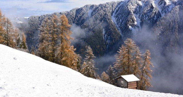 Winterwandern Waldweg Tenna (oua_13237105_image)