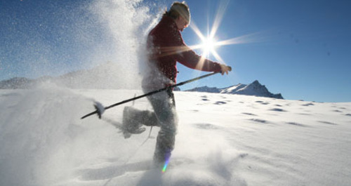Signalisierter Schneeschuhtrail: Tscheurig, kurz (oua_13237141_image)