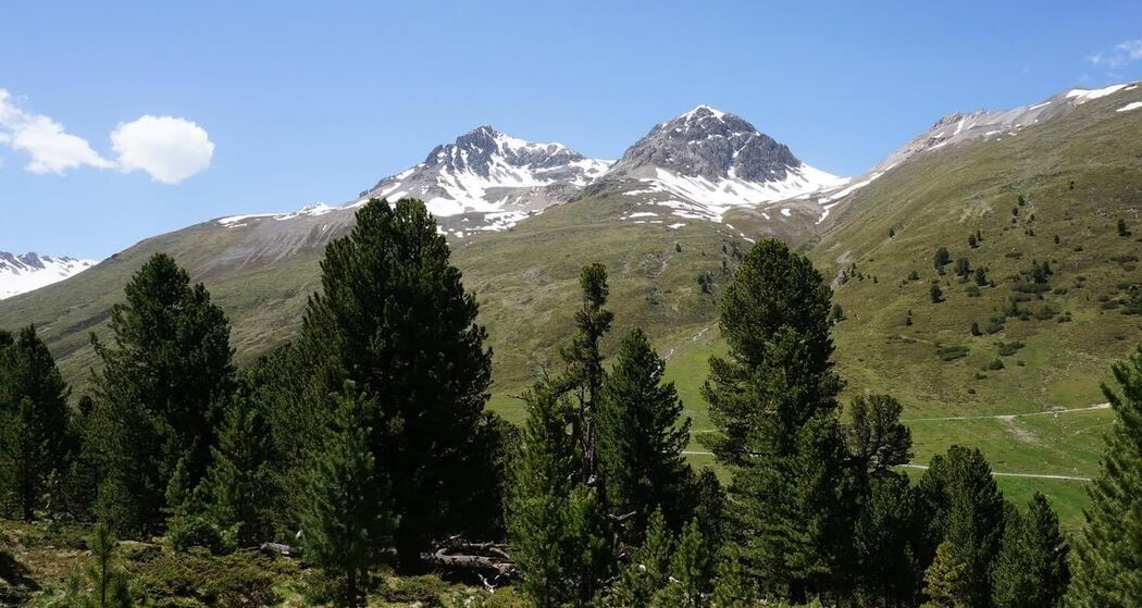 S-charl – Piz Amalia (retour) (oua_13649610_image)