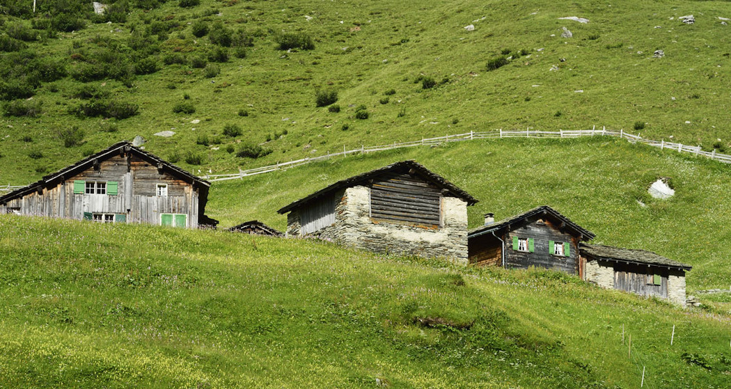 Peil; Foto: Robert Bösch