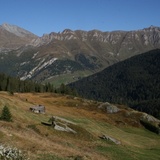 Moos; Photo : Adrian Vieli