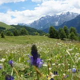 Haut au-dessus de Munt d'Ardez