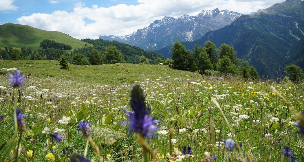 Hoch über Munt d'Ardez