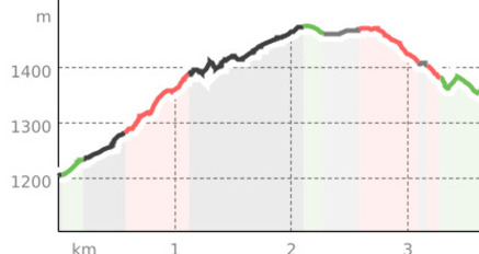Kurze Tour mit Singletrail: Scuol - San Jon - Scuol (oua_14158304_a897a2c_profile)