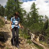 En route dans le parc national entre Zernez et le Val Cluozza