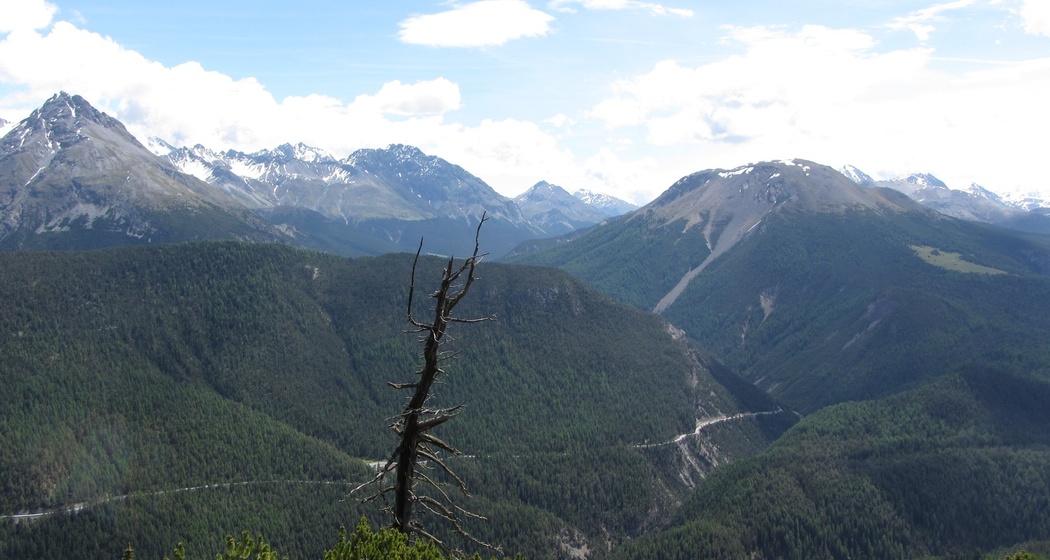 Blick vom Murter Richtung Ofenpass