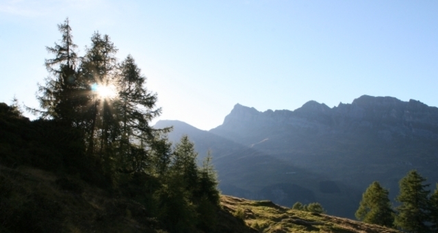 Pradätsch; Foto: Adrian Vieli