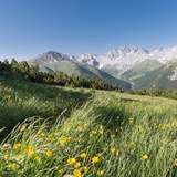 Etwas unterhalb der Mot Madlain mit Blick Richtung Val Tavrü.