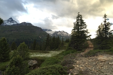 Bidanätsch; Foto: Remo Tönz