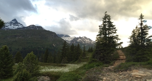 Bidanätsch; Foto: Remo Tönz