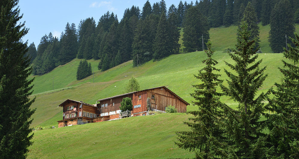 Maiensäss oberhalb Pany