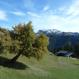 Im Aufstieg oberhalb Pany