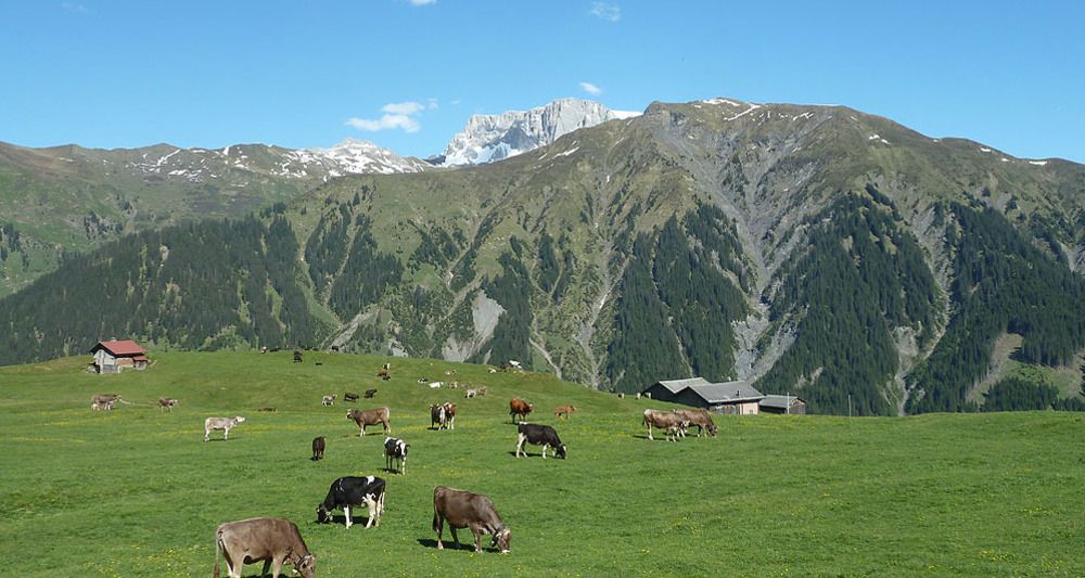 Maiensäss-Dörfchen 'Boden'