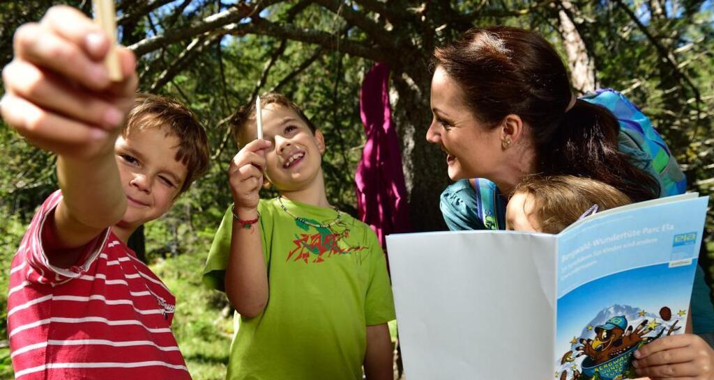 Unterwegs mit der Parc Ela-Berwaldwundertüte
