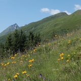 Aufstieg um Stavel Sisum