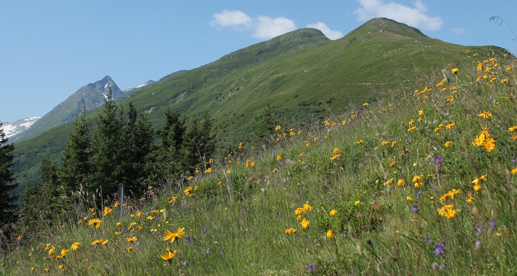 Aufstieg um Stavel Sisum