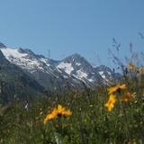 Piz Gannaretsch im Val Nalp