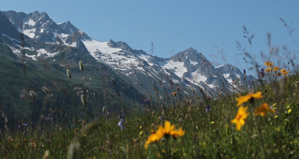 Piz Gannaretsch im Val Nalp