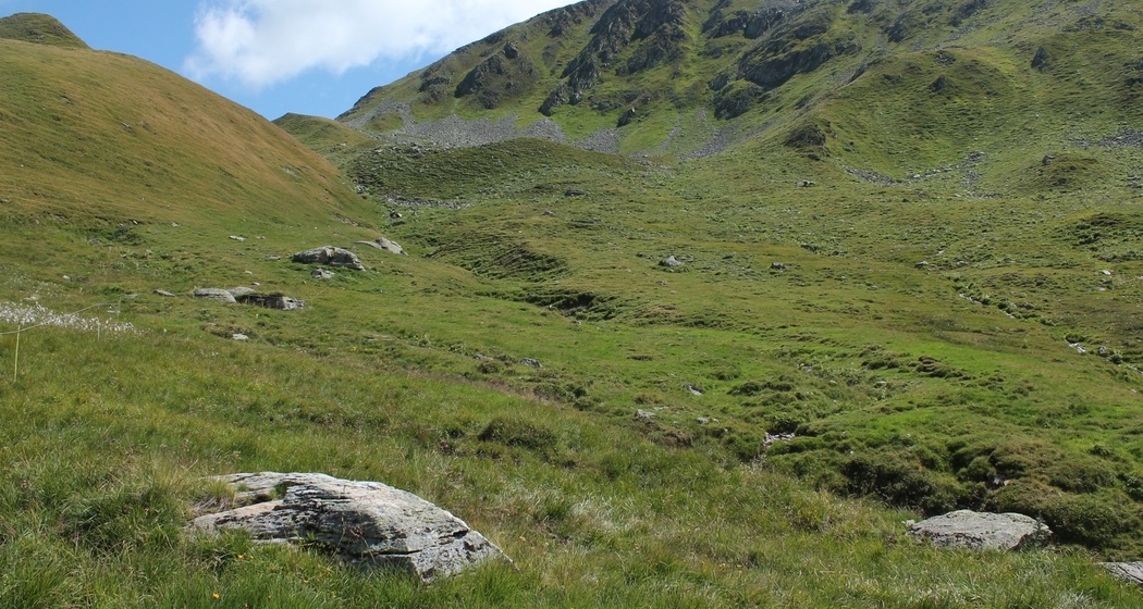 Wir verlassen hier den Wanderweg