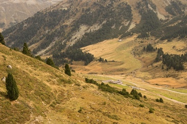La randonnée commence à l'alp Praditschöl