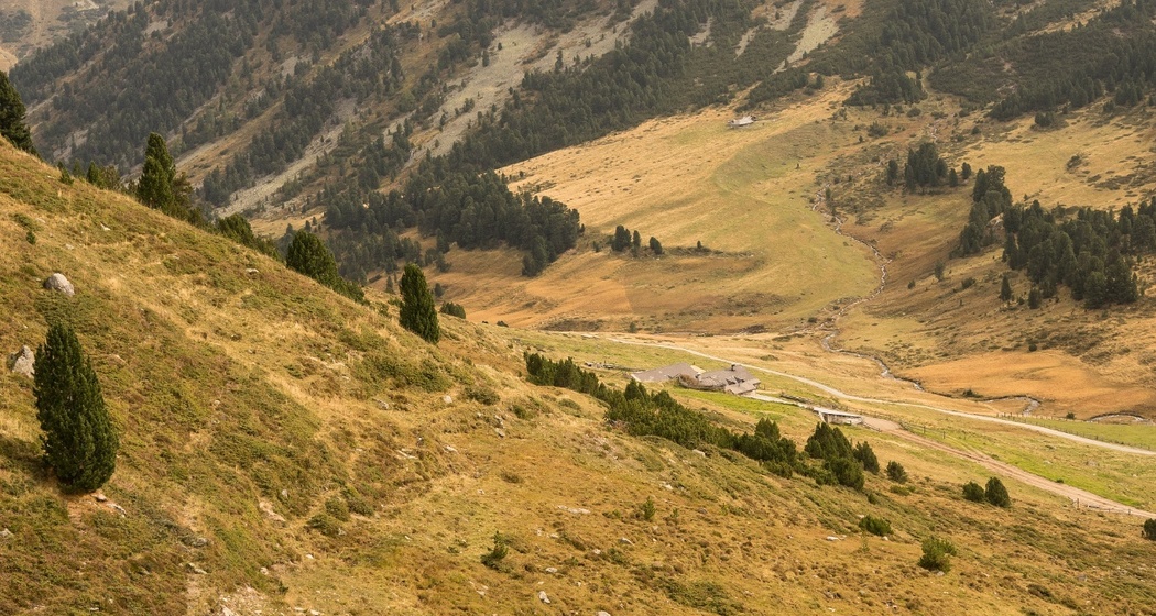 Bei der Alp Praditschöl beginnt die Wanderung